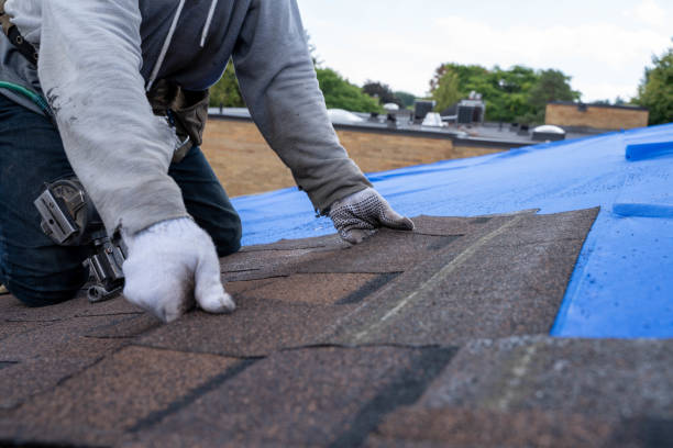 Best Roof Repair Services  in Marion, AL