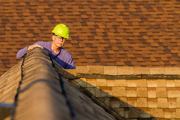 Best Roof Restoration Services  in Marion, AL