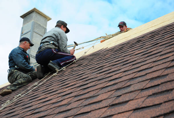 Best Affordable Roofing Company  in Marion, AL