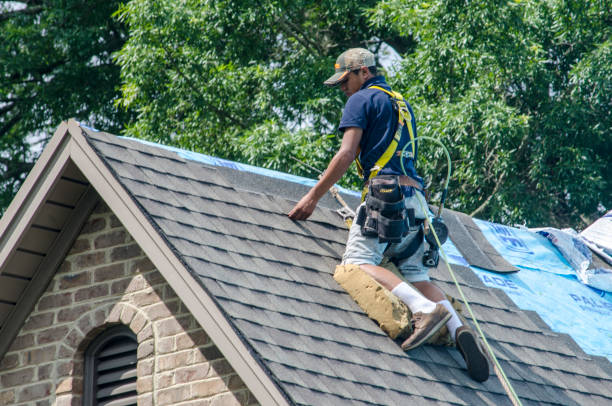 Best Gutter Installation and Roofing  in Marion, AL